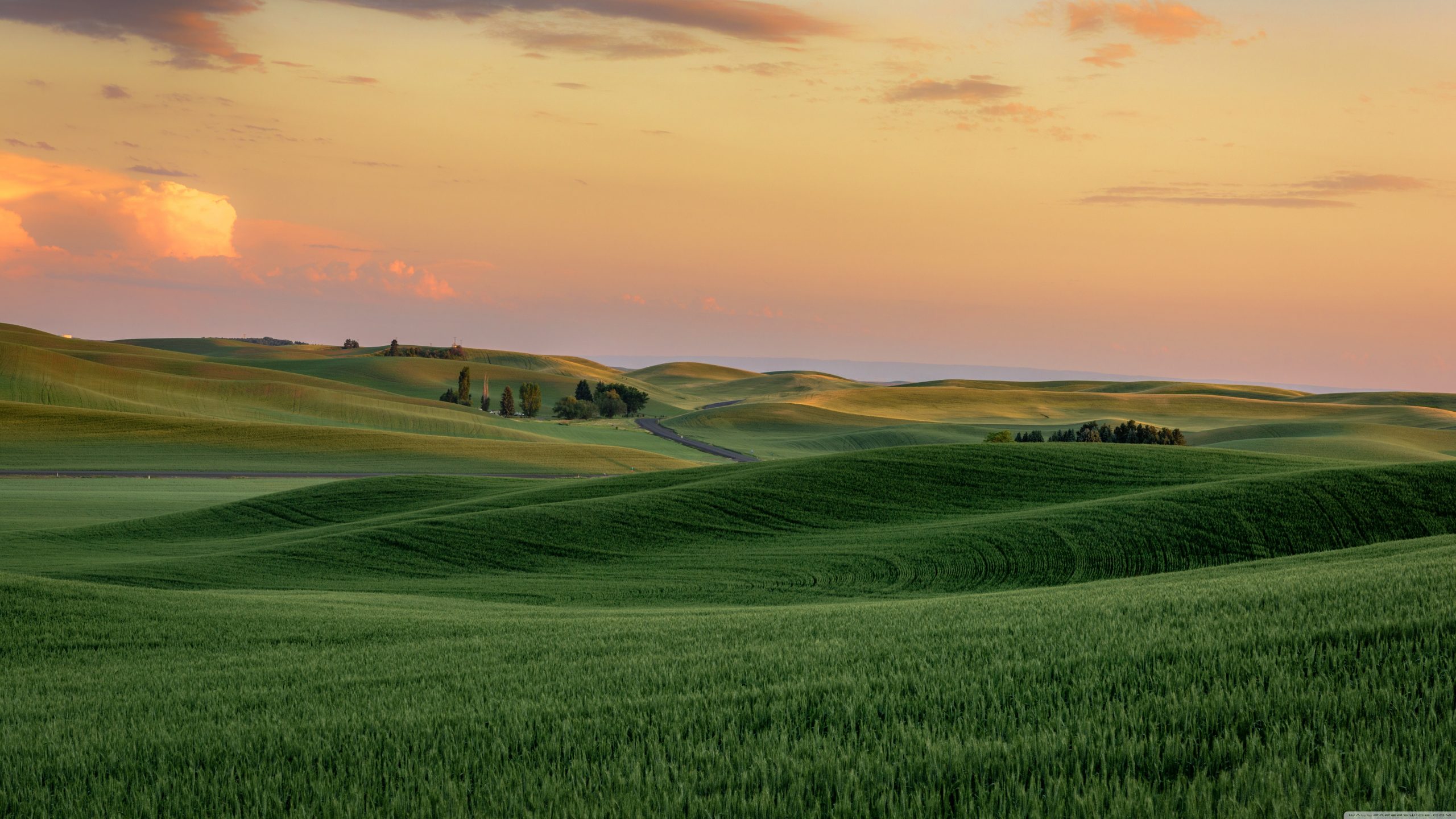 中小学竞赛白名单●赛项一览表